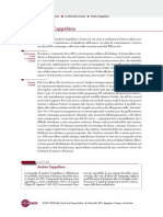 v1 Andrea Cappellano PDF