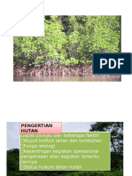 Pengertian Hutan: Konsep dan Klasifikasi Hutan dalam