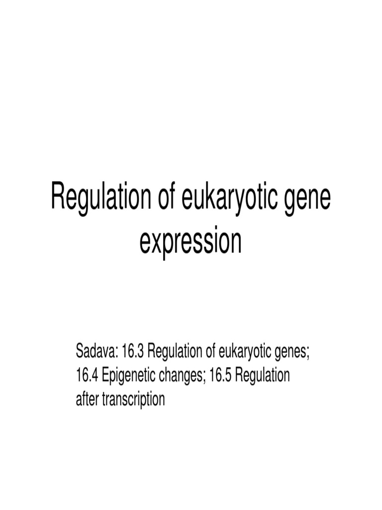 Eukaryotic Gene Expression Regulation | PDF | Regulation Of Gene ...