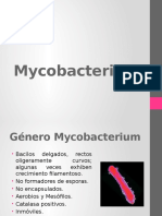My Co Bacterium