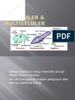 Uniseluler & Multiseluler