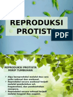 Reproduksi Protista