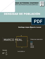 Densidad de Plantación-Calculos