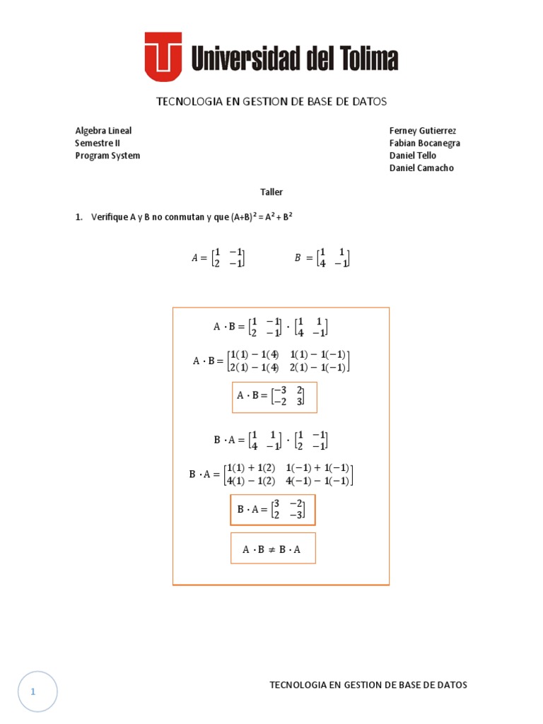 Matrices and Linear Algebra Concepts | PDF | Computers | Technology ...