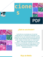 Tinciones microbiológicas: Rojo de Metilo, Safranina y Azul de Metilo