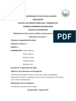 Determinación de Las Causas y Efectos Que Producen La Inseguridad