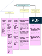 Mapa Conceptual Competencias Del SNB