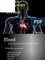 Human Circulatory System