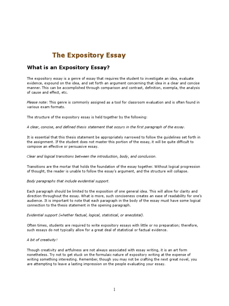 what does a expository essay look like