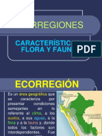 ECORREGIONES (1)