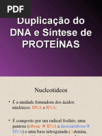 Duplicação  DNA sintese de proteinas