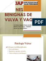 10 - Patología Vulvar y Cervical
