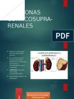 Hormonas Corticosupra Renales