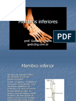 Membros inferiores: Anatomia do pé