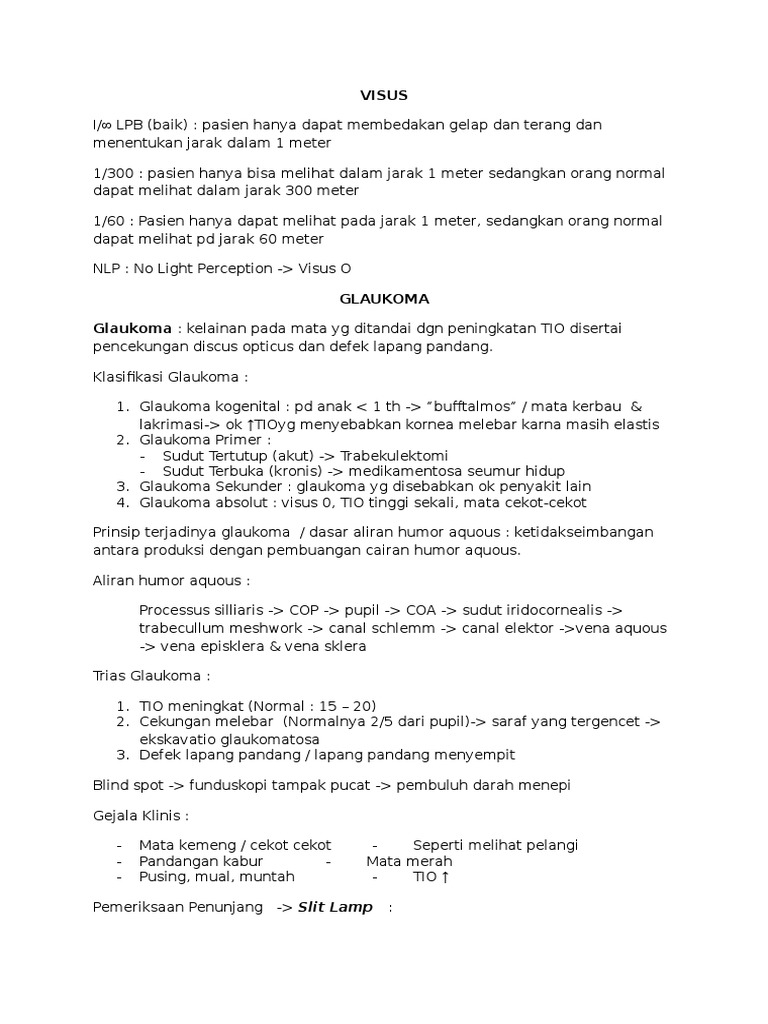 VISUS | PDF