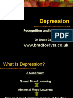 Depression: WWW - Bradfordvts.co - Uk