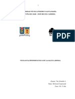 Vigilancia Epidemiológica de La Salud Laboral