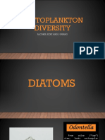 Phytoplankton Diversity Mazo Et - Al