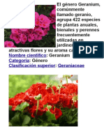 El Género Geranium