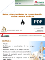 RETOS Y OPORTUNIDADES DE LA REACTIVACION DE CAMPOS MADUROS.pdf
