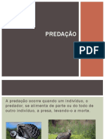 Predação