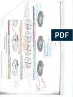 students as radiologists