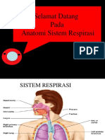Anatomi Sistem Pernapasan Tayang