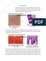 Sistem Pencernaan Organ Histologi