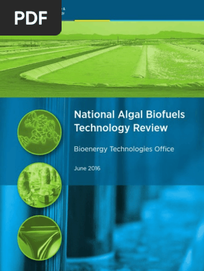 その他 Cao Thanh Van Advancement in nanomaterials for environmental pollutants