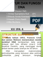Bio-DNA