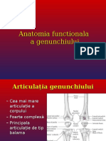 Curs 3 - Anatomia Functionala A Genunchiului