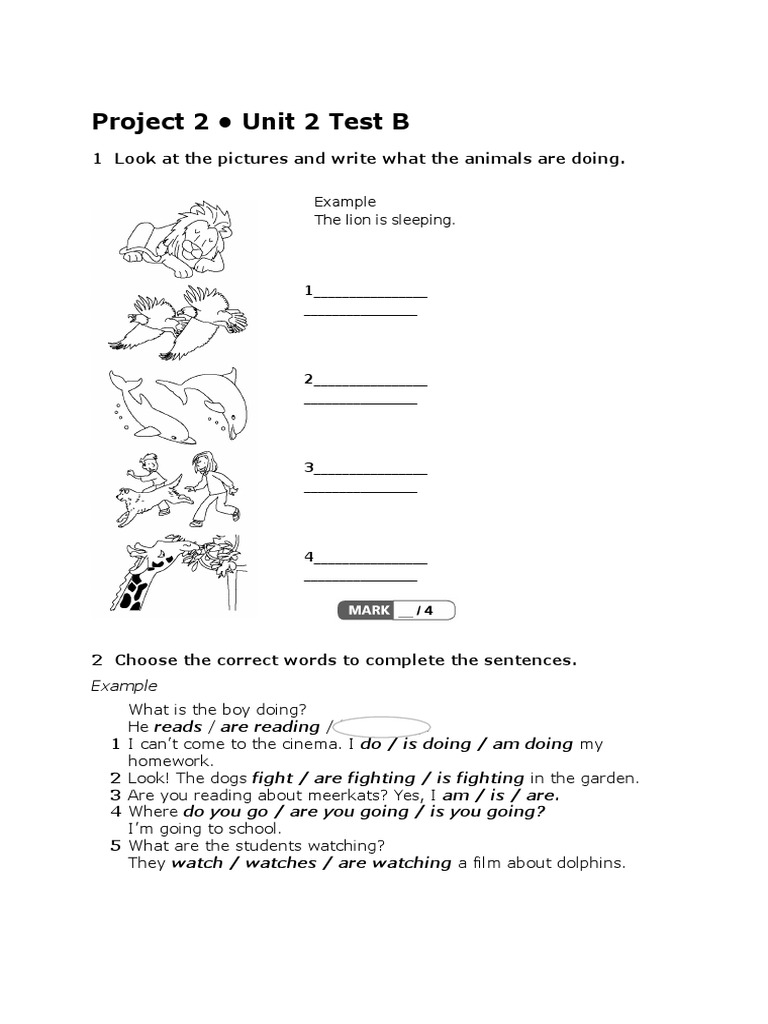 Sample Test for Project 2 Unit 2 | Zoo