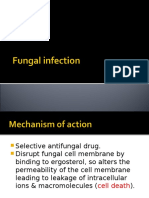 Fungal Infection 22