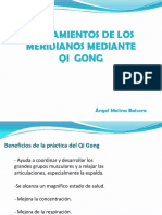 Estiramientos de Meridianos PDF