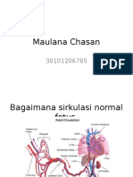 Maulana Chasan - LBM 5 KARDIO