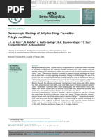 Dermoscopic Findings of Jellyfish Stings Caused by Pelagia Noctiluca_DEL POZO ET AL ACTAS