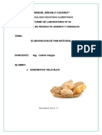 documents.mx_informe-n4-pan-integral.docx