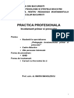 GHID Practica Profesionala 2010-2011