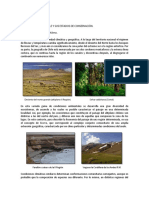 Ecosistemas de Chile-1