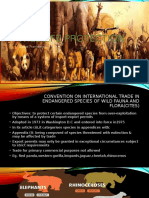 Wildlife Protection: Global Framework