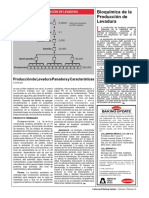 Bioquímica de La Producción de Levadura