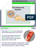 Basic Endocrine