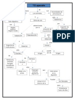 Mapa Lectura 1