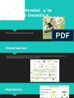 Gregor Mendel y La Herencia Genética