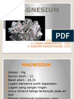 Magnesium: Disusun Oleh: 1. Firsa Ambarwati (14) 2. Rischa Purwitasari