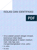 Isolasi Dan Identifikasi