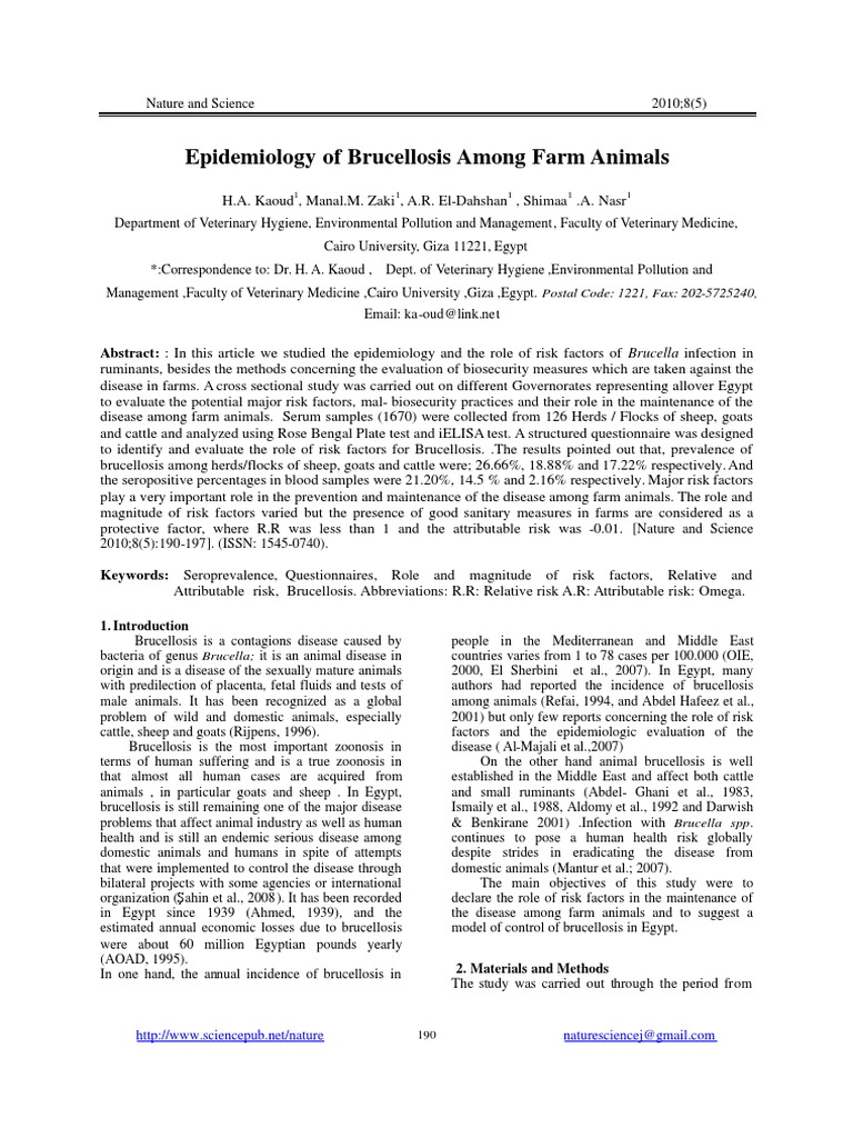 Brucellosis Epidemiology in Farm Animals | PDF | Risk | Sheep