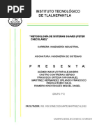 Trabajo Ssm Peter Checkland