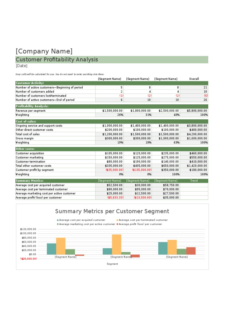 Customer Profitability Report | PDF