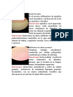 Anapato Sdo Parcial.docx